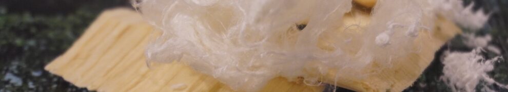 The GRETE fibre: regenerated from paper-grade wood pulp
